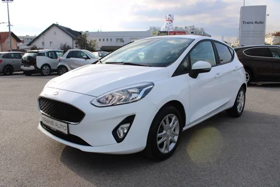 Ford Fiesta 1.0 Ecoboost N1-teretno Image 1