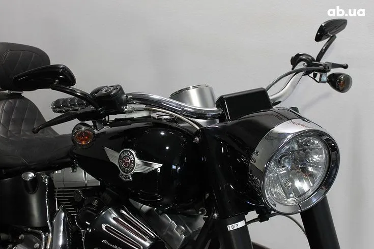 Harley-Davidson FLSTF Image 2